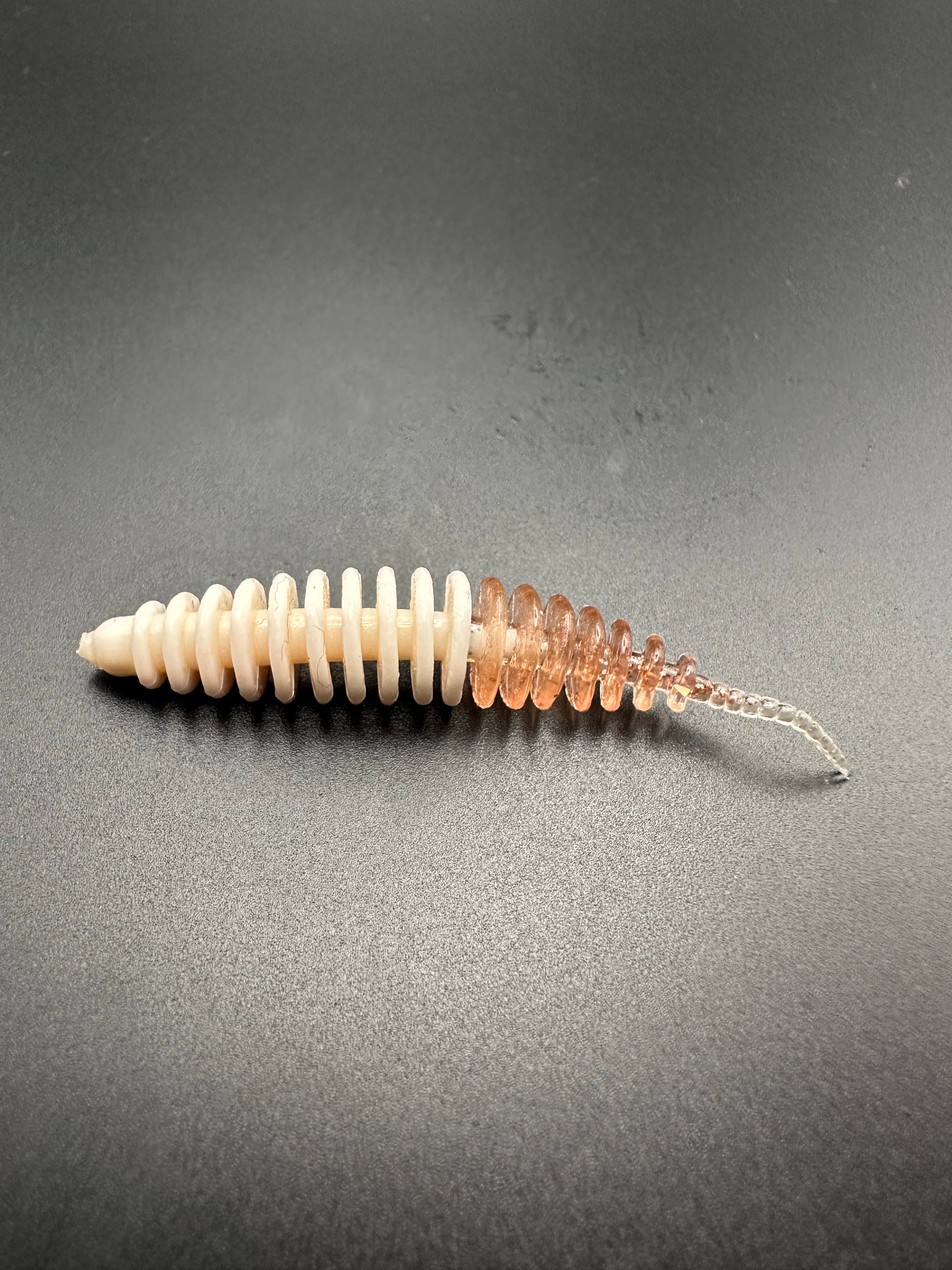 Troutworm2 (Bianco/BrownGhost)5cm col.15