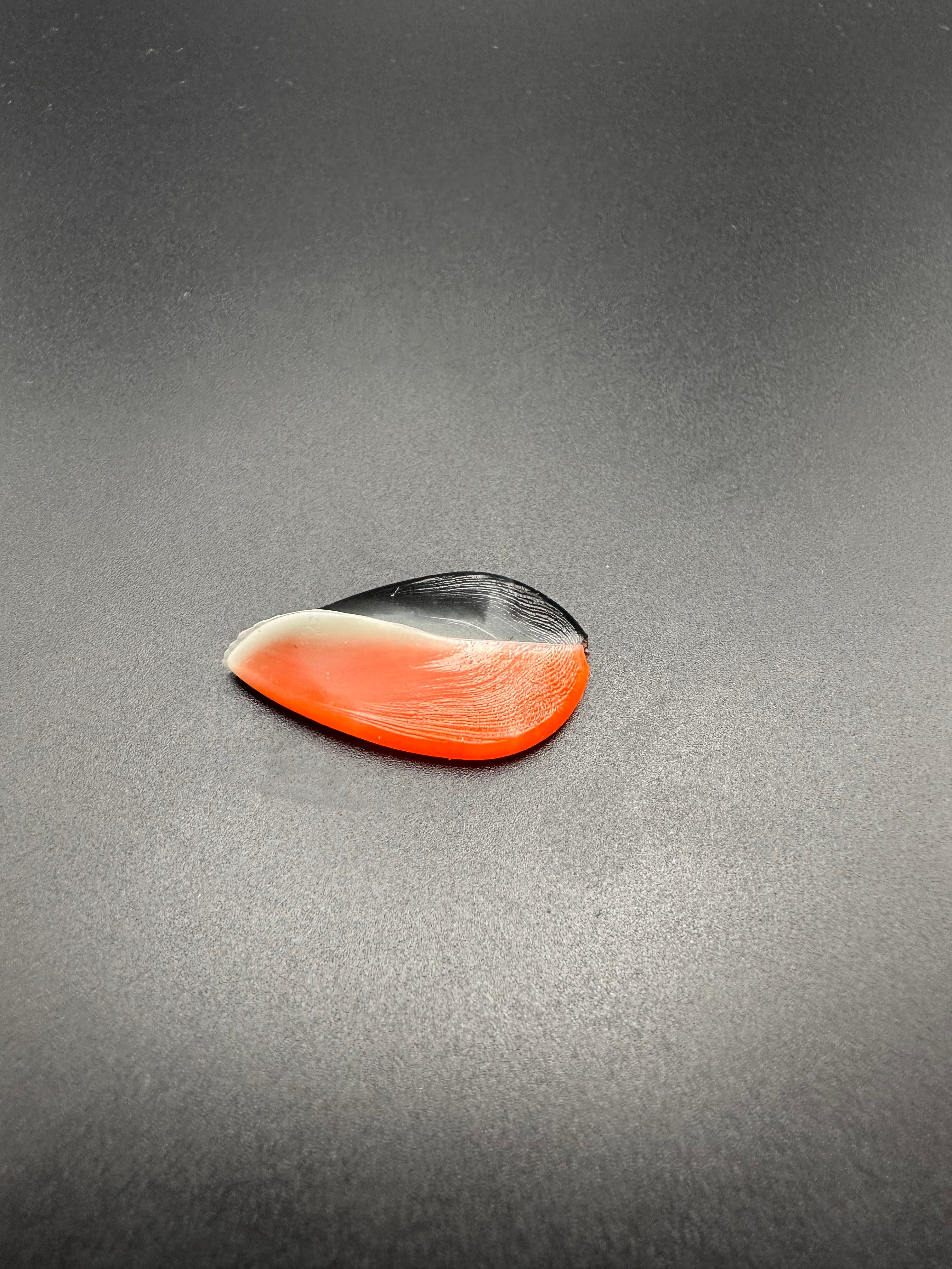 PRONADO Tricolor (Nero/Bianco/Arancio)  col.20