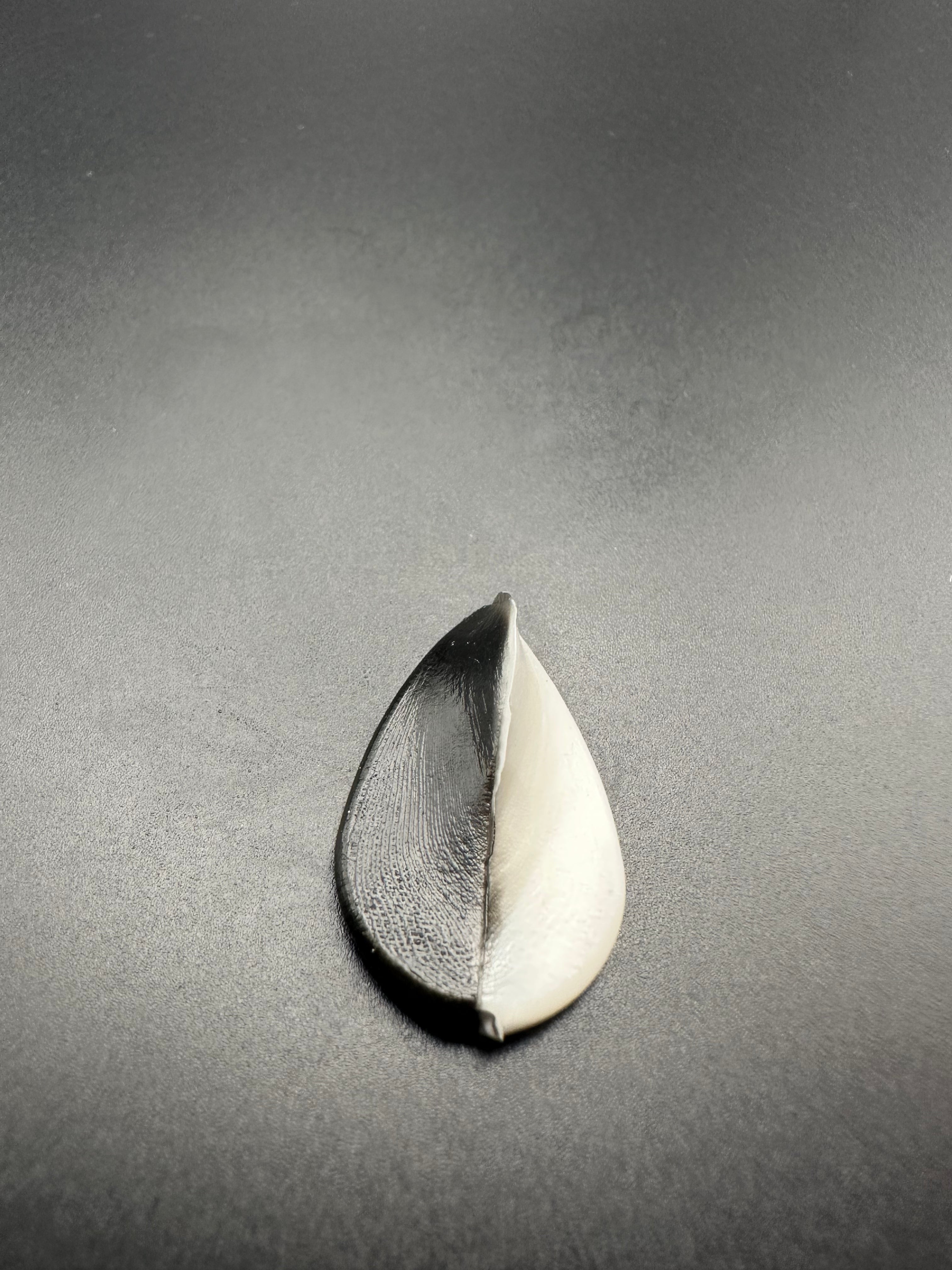 PRONADO Bicolor (Nero/Bianco) col.12