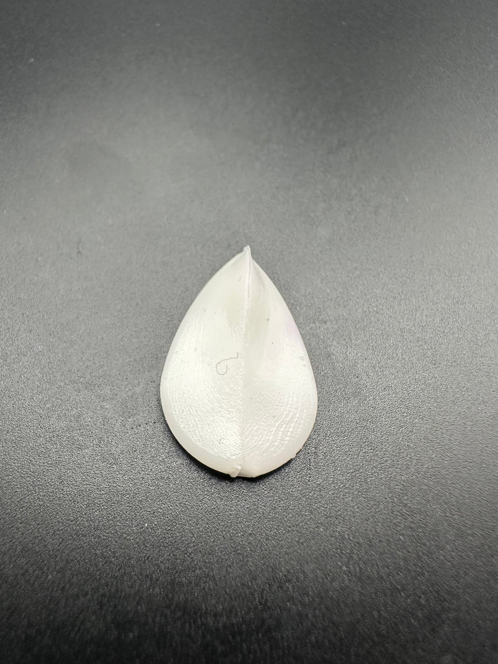 PRONADO (Bianco)