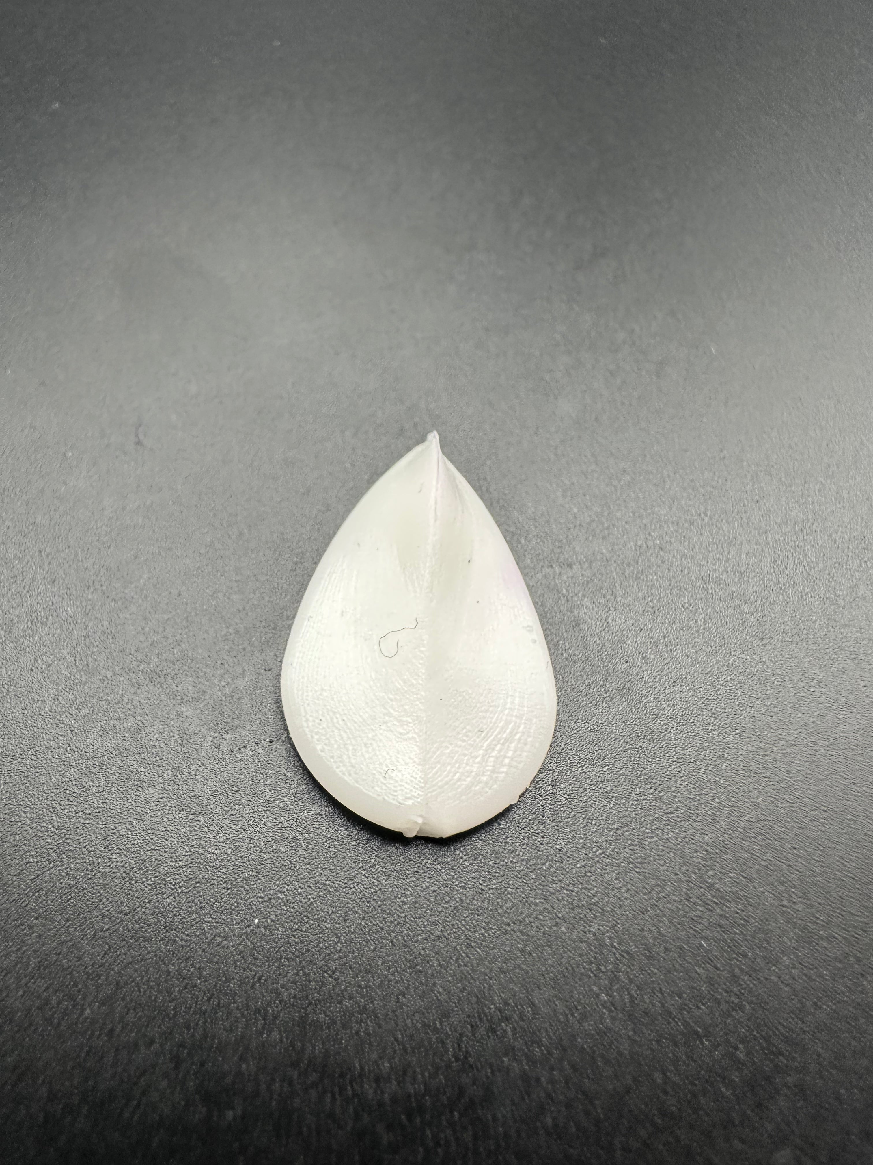 PRONADO (Bianco)