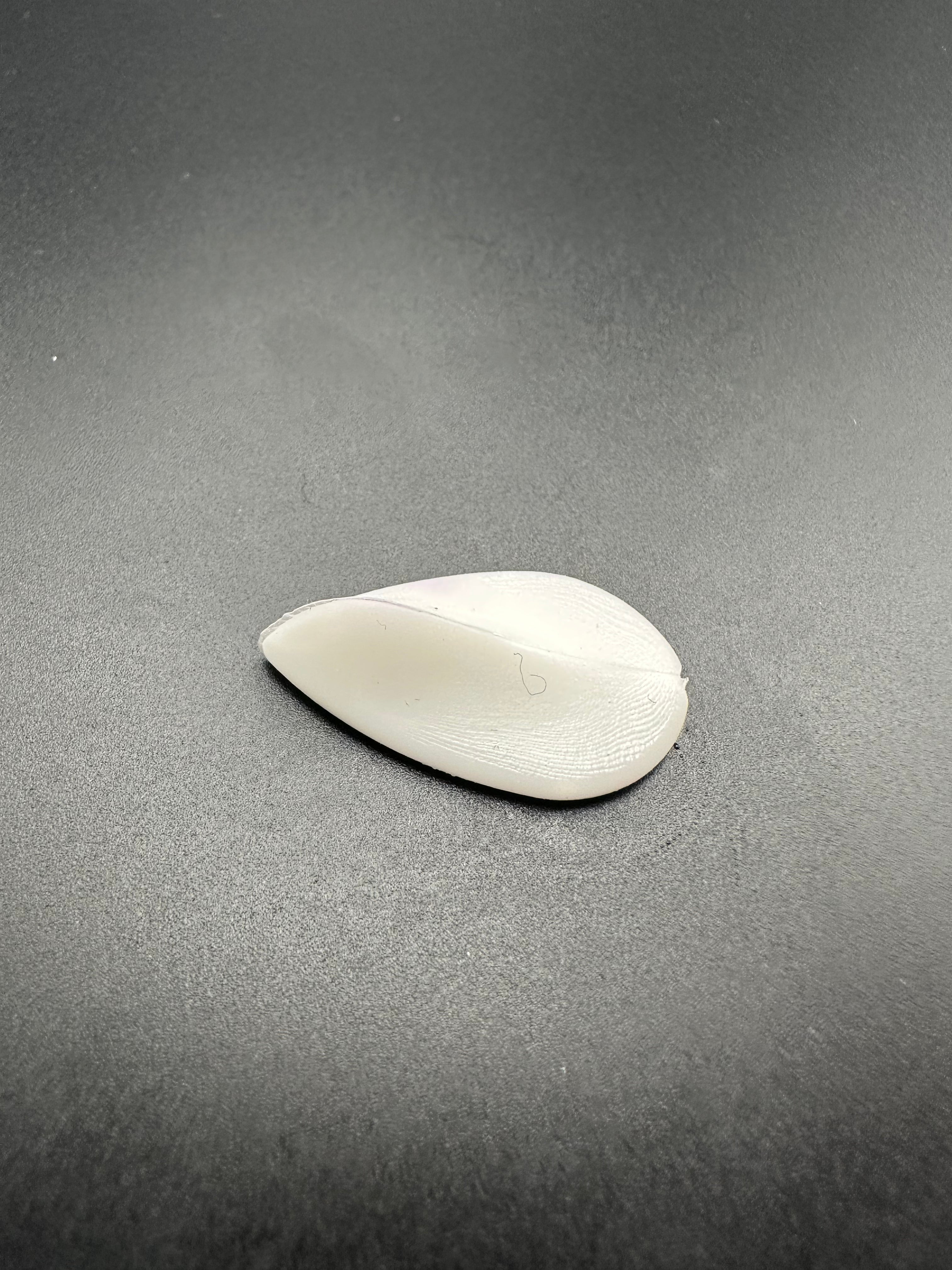 PRONADO (Bianco)