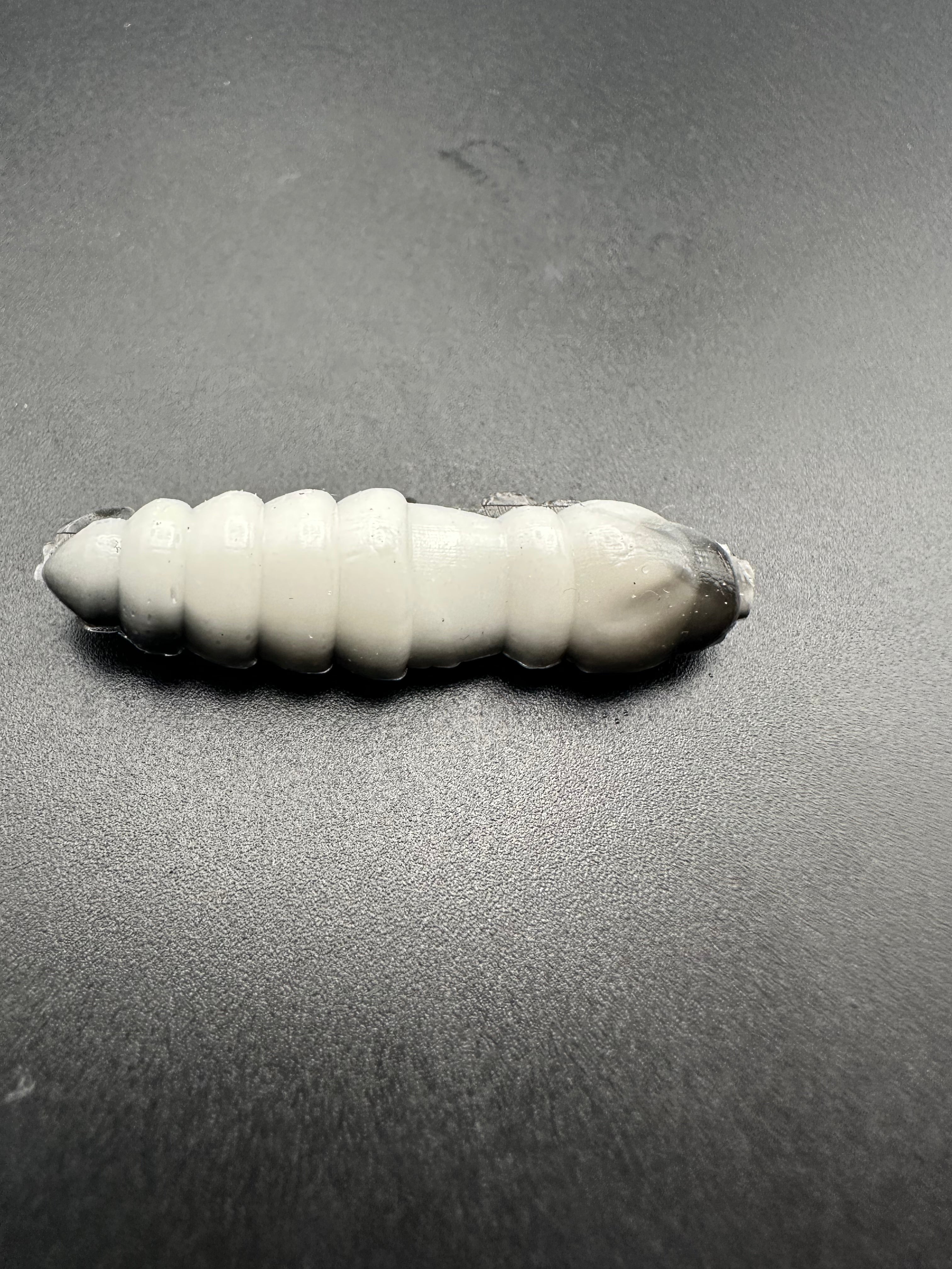 Mag Bicolor (Bianco/Nero)