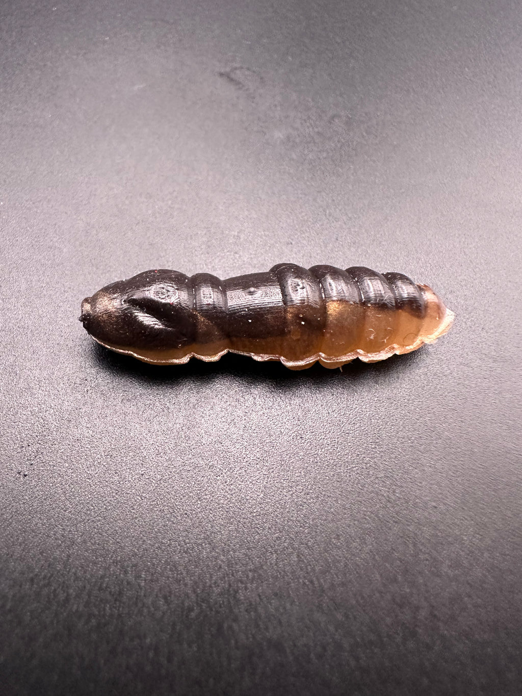 Mag Bicolor (Nero/Oro)