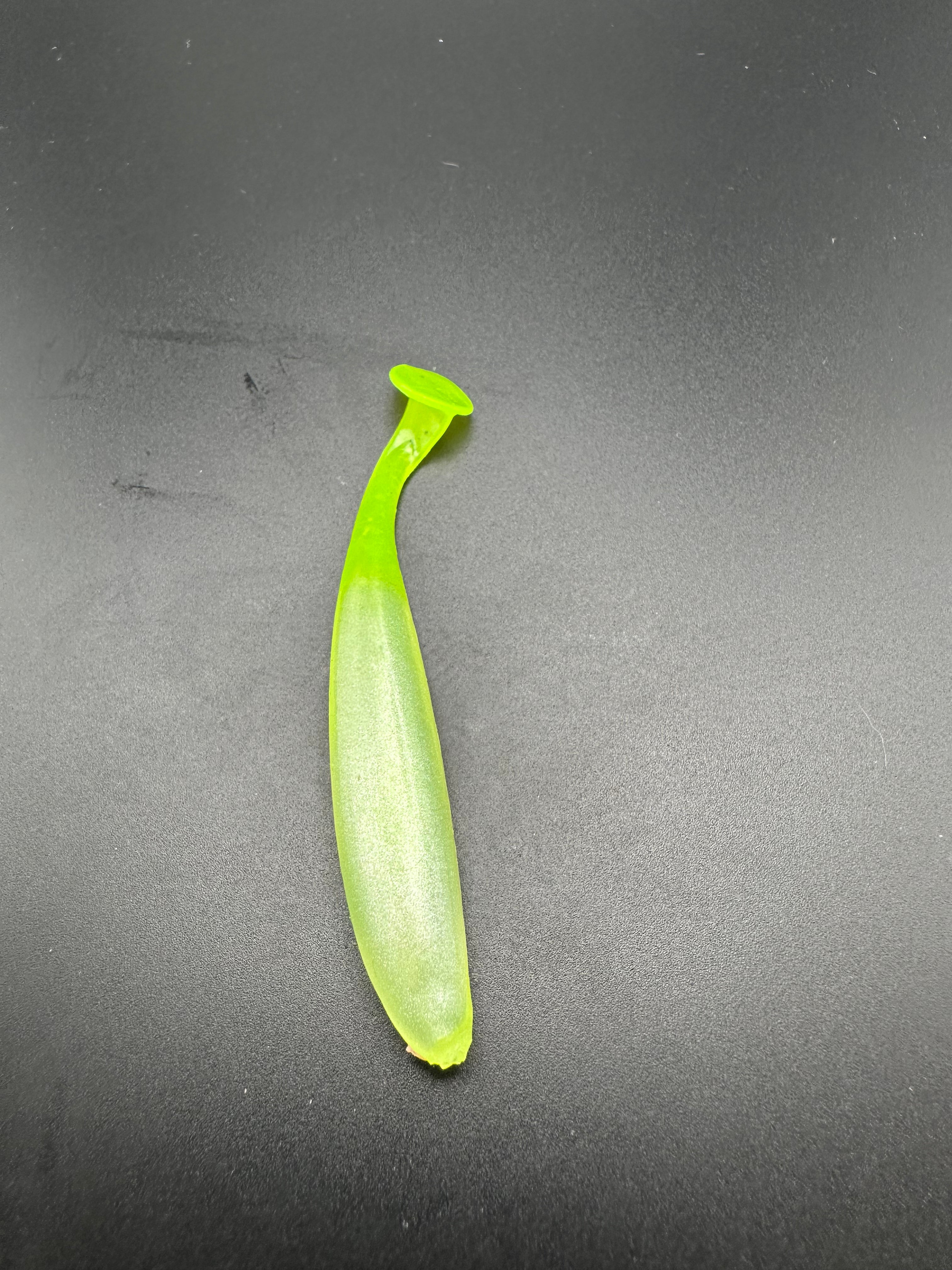 ProShad (Gost/LightGreen)Glitter 7,5cm